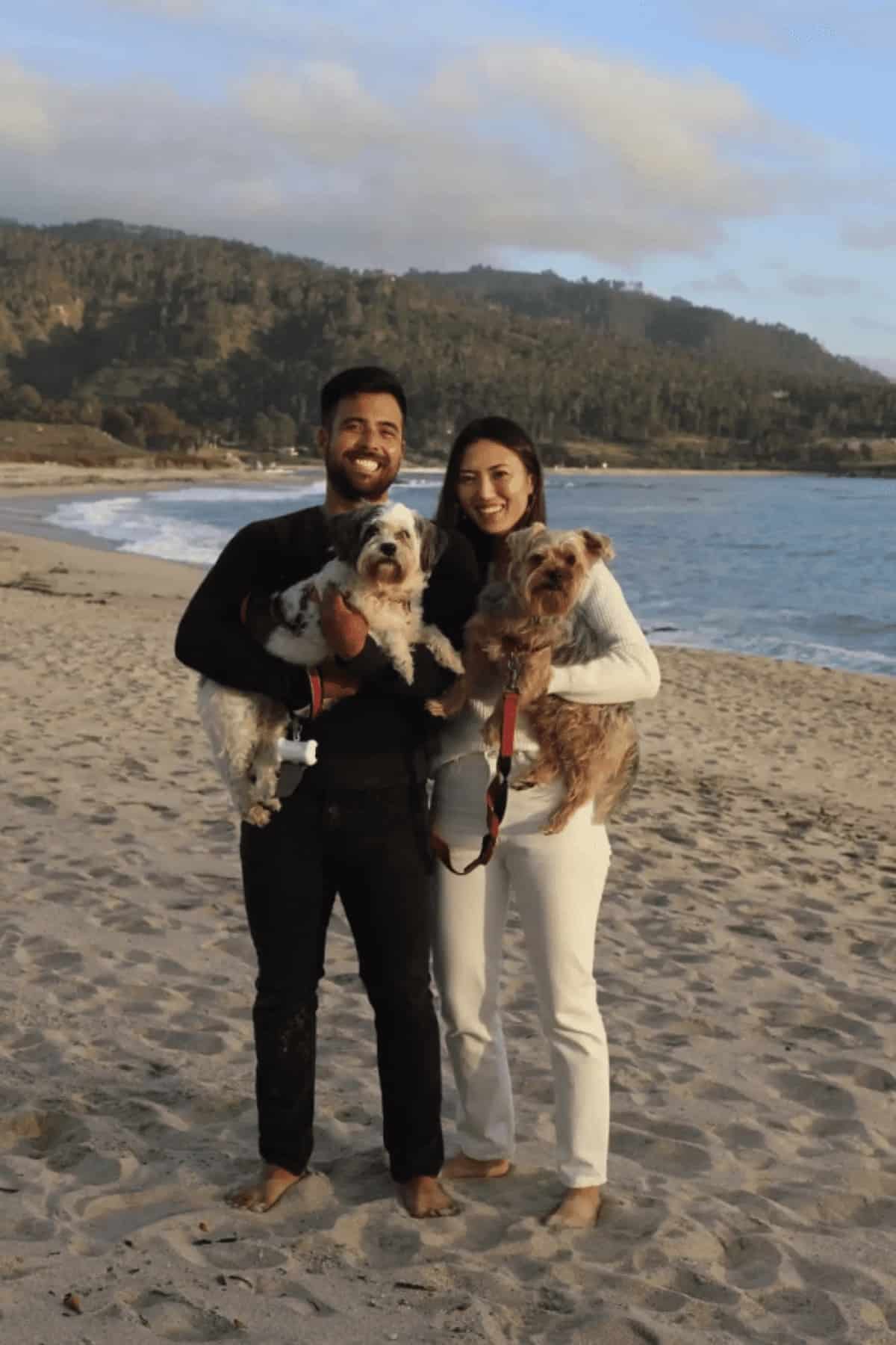 a man and woman standing on the beach holding two dogs