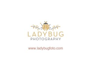 The logo for Ladybug Photography, featuring a stylized golden ladybug with decorative branches, the text 'Ladybug Photography,' and the website 'www.ladybugfoto.com' below.
